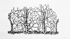 Prvé zviera, ktoré na obrázku uvidíte, odhalí podstatu vašej osobnosti