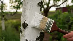 Čím bieliť stromy na jar: vyskúšajte tieto účinné alternatívy k vápnu