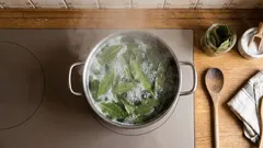 Varenie bobkových listov so soľou doma: prečo sa to odporúča a na čo je to dobré.